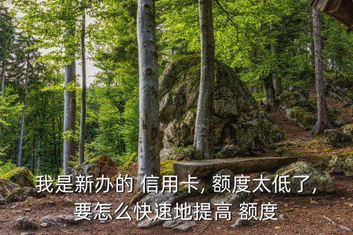 我是新办的 信用卡, 额度太低了,要怎么快速地提高 额度