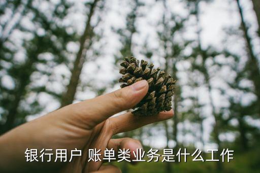 银行用户 账单类业务是什么工作