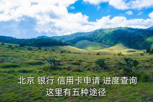  北京 银行 信用卡申请 进度查询这里有五种途径