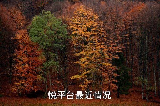 悦支付信用卡分期
