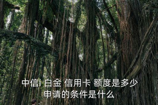  中信i 白金 信用卡 额度是多少申请的条件是什么