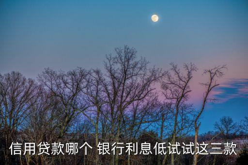 哪个银行信用卡日息低
