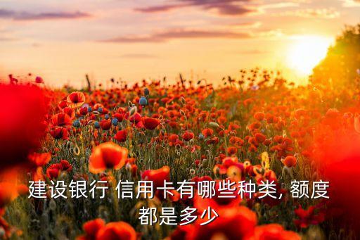 建设银行 信用卡有哪些种类, 额度都是多少