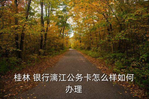  桂林 银行漓江公务卡怎么样如何 办理