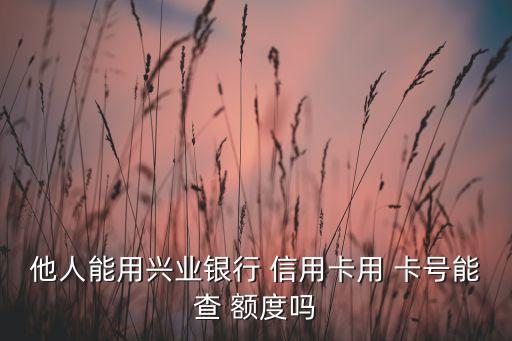 信用卡只有卡号可以查额度,民生信用卡不知道卡号怎么查询额度