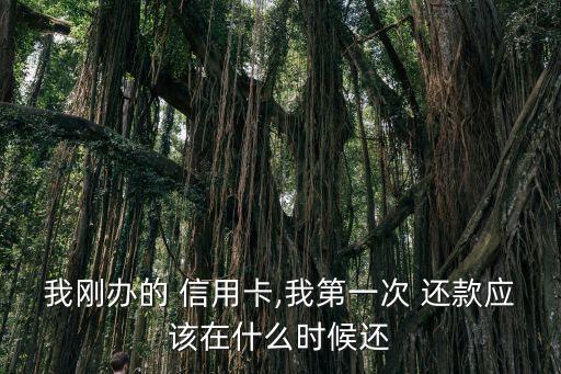 信用卡可以每次还款日
