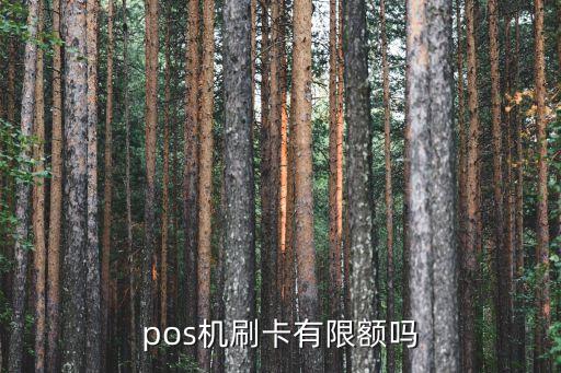 商家码扫信用卡额度,信用卡有额度为什么扫码付不了