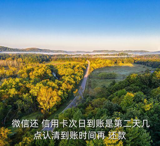  微信还 信用卡次日到账是第二天几点认清到账时间再 还款
