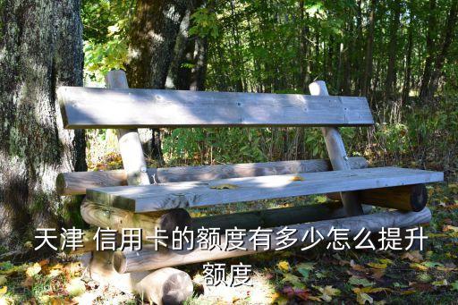  天津 信用卡的额度有多少怎么提升额度