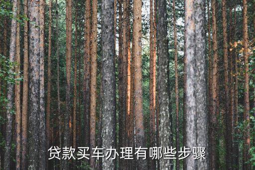 贷款买车办理有哪些步骤