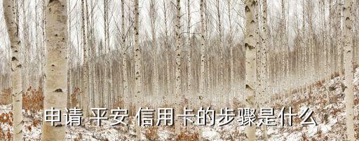 申请 平安 信用卡的步骤是什么