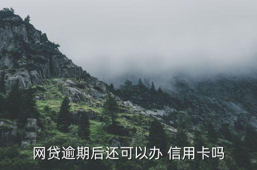 网贷逾期后还可以办 信用卡吗