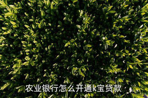 农业银行怎么开通k宝贷款