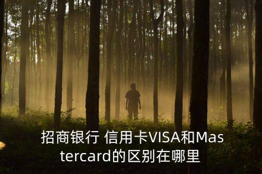  招商银行 信用卡VISA和Mastercard的区别在哪里