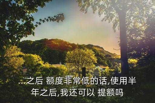 ...之后 额度非常低的话,使用半年之后,我还可以 提额吗