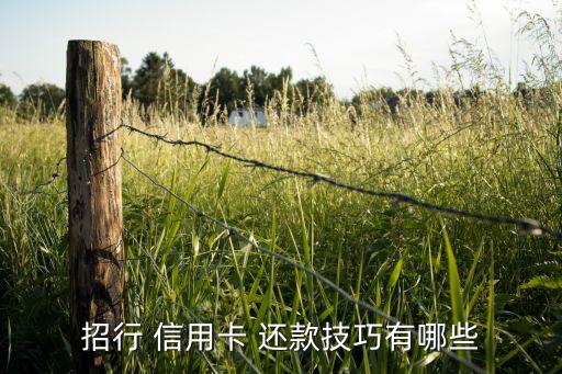 招行 信用卡 还款技巧有哪些