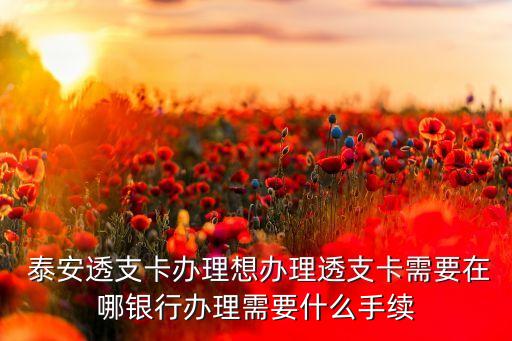  泰安透支卡办理想办理透支卡需要在哪银行办理需要什么手续