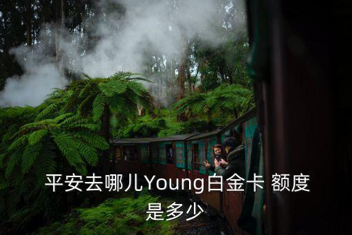  平安去哪儿Young白金卡 额度是多少