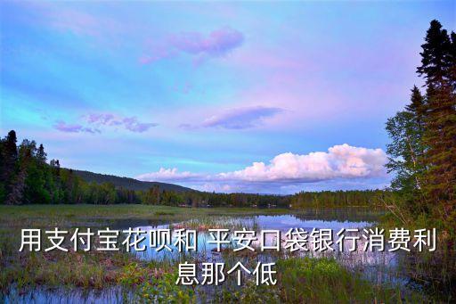 用支付宝花呗和 平安口袋银行消费利息那个低