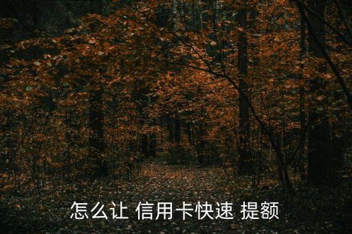 怎么让 信用卡快速 提额