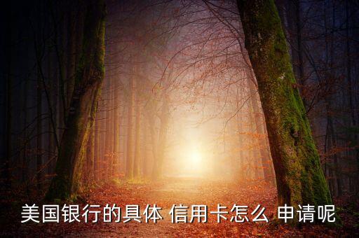 美国银行的具体 信用卡怎么 申请呢