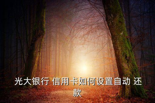  光大银行 信用卡如何设置自动 还款