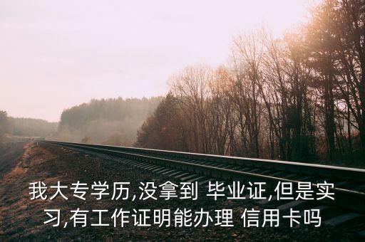 我大专学历,没拿到 毕业证,但是实习,有工作证明能办理 信用卡吗