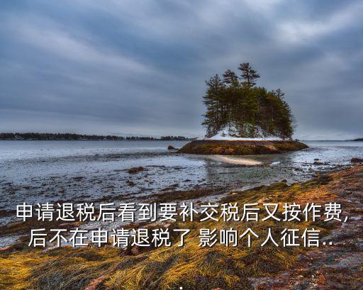 申请退税后看到要补交税后又按作费,后不在申请退税了 影响个人征信...