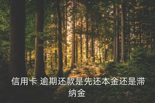  信用卡 逾期还款是先还本金还是滞纳金
