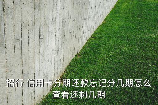 招行 信用卡分期还款忘记分几期怎么查看还剩几期