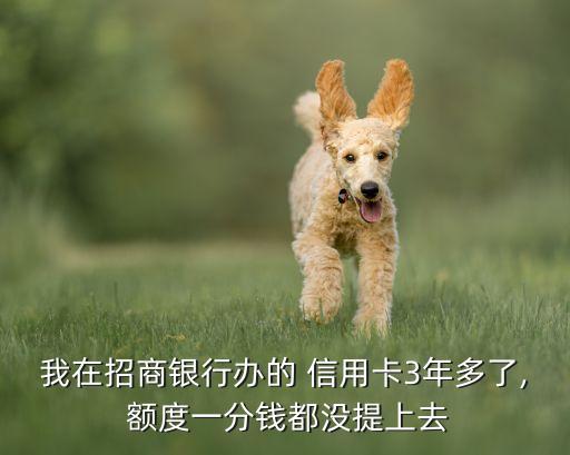 我在招商银行办的 信用卡3年多了, 额度一分钱都没提上去