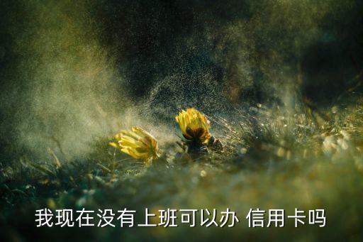 我现在没有上班可以办 信用卡吗
