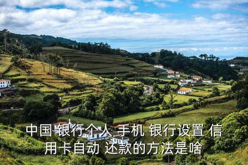 中国 银行个人 手机 银行设置 信用卡自动 还款的方法是啥