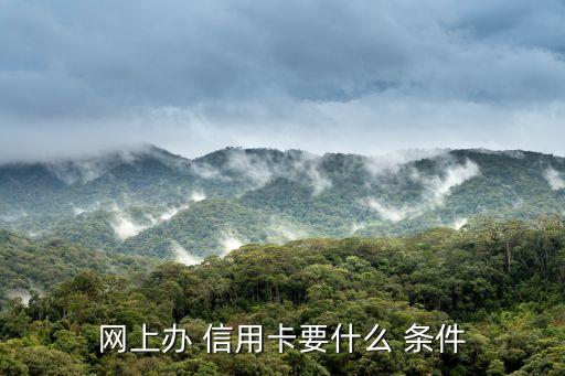 网上办 信用卡要什么 条件