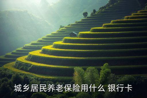 城乡居民养老保险用什么 银行卡