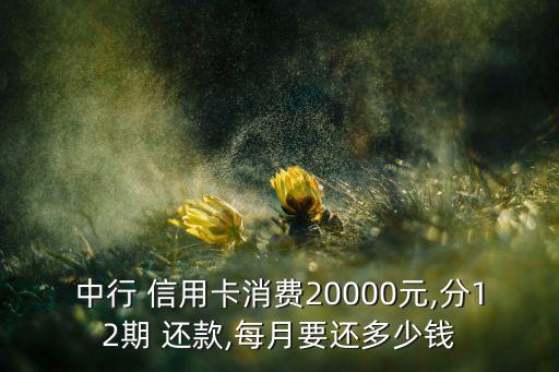 中行 信用卡消费20000元,分12期 还款,每月要还多少钱