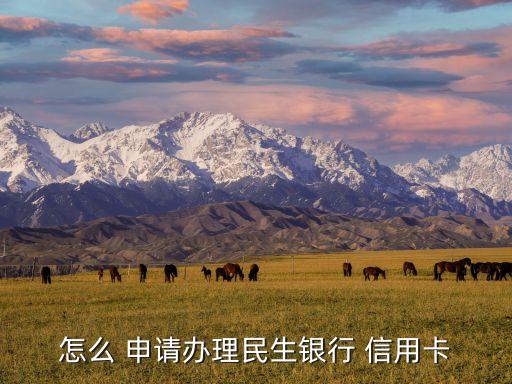 怎么 申请办理民生银行 信用卡