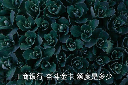 工商银行 奋斗金卡 额度是多少