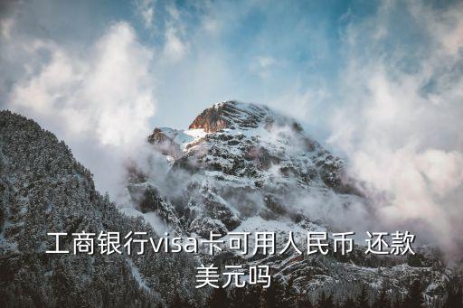 工商银行visa卡可用人民币 还款 美元吗