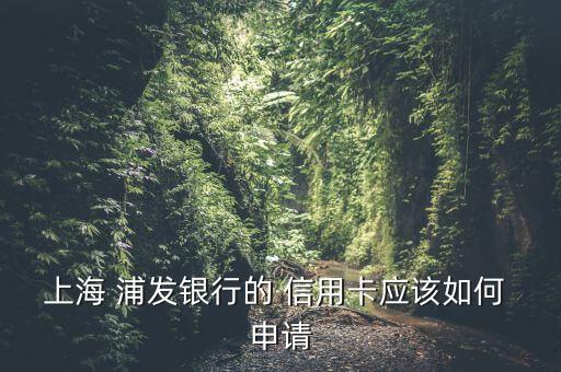 上海 浦发银行的 信用卡应该如何 申请