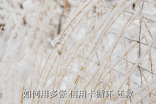 如何用多张 信用卡循环 还款
