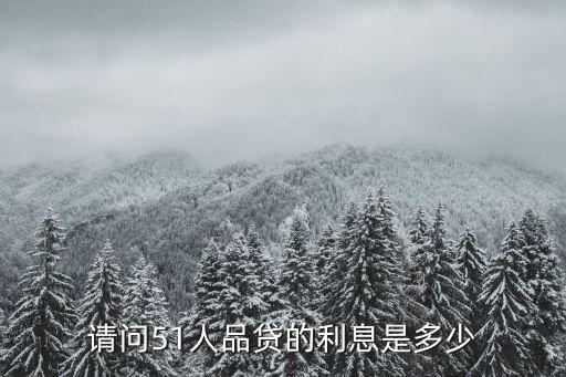 请问51人品贷的利息是多少