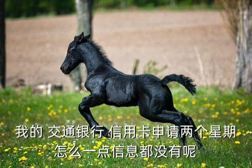 我的 交通银行 信用卡申请两个星期怎么一点信息都没有呢