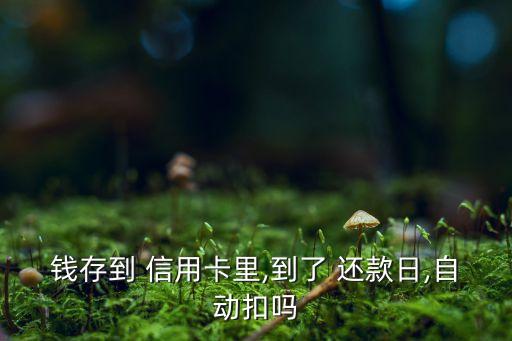 钱存到 信用卡里,到了 还款日,自动扣吗