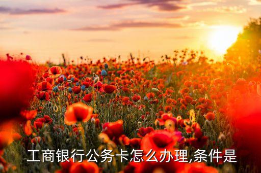 事业单位申请工商信用卡,没有事业单位怎么申请信用卡