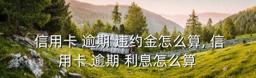  信用卡 逾期 违约金怎么算, 信用卡 逾期 利息怎么算