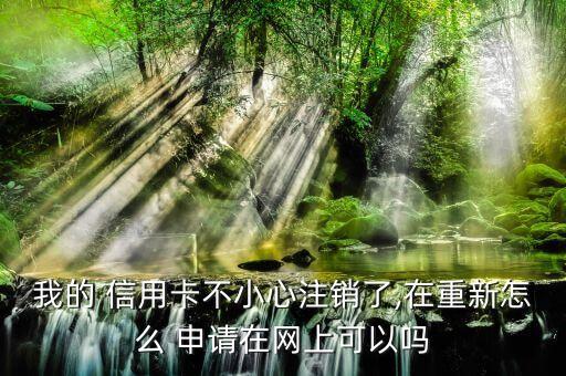 我的 信用卡不小心注销了,在重新怎么 申请在网上可以吗