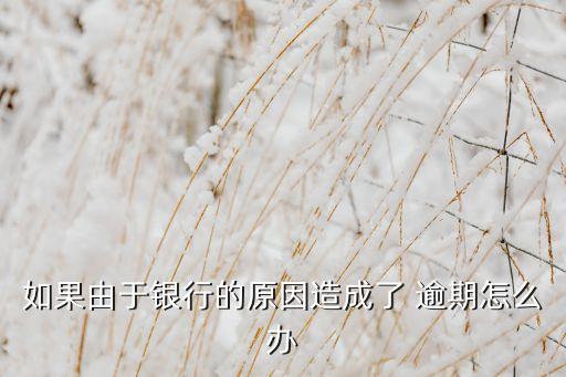 如果由于银行的原因造成了 逾期怎么办