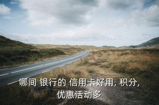 哪间 银行的 信用卡好用, 积分,优惠活动多