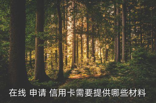 在线 申请 信用卡需要提供哪些材料